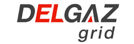 DELGAZ GRID